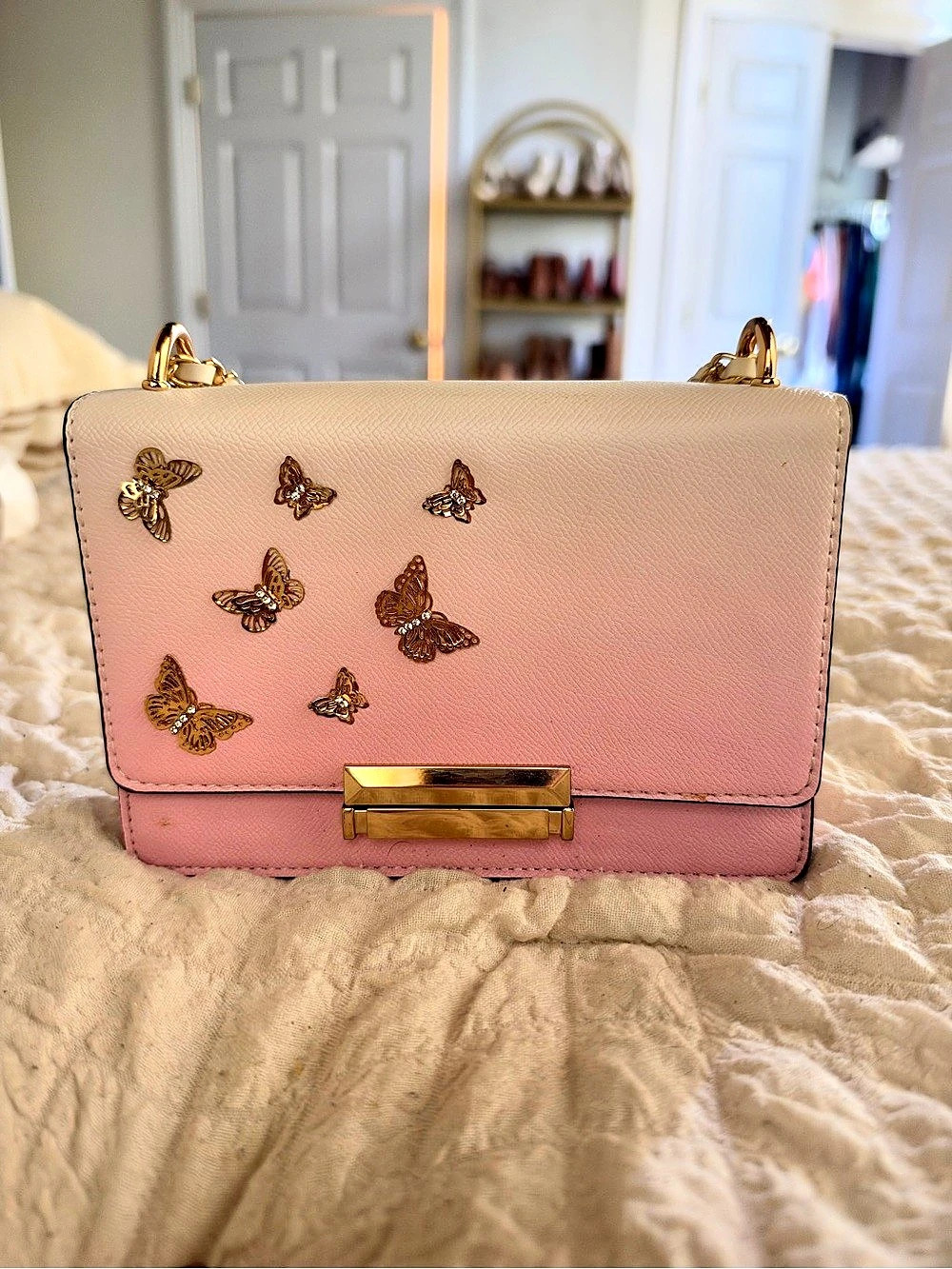 Aldo Butterfly Ombré Crossbody Bag